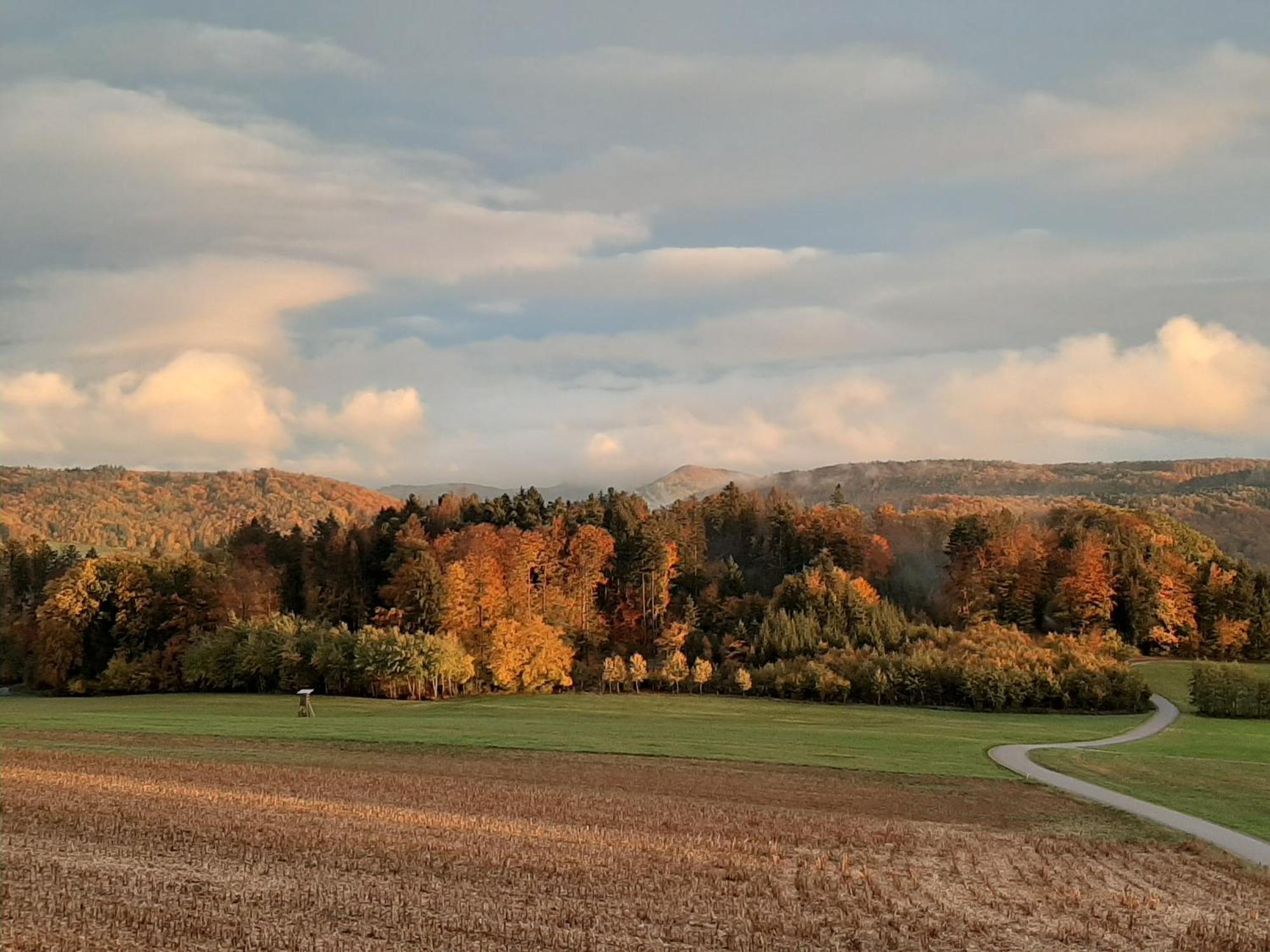 Hochsalerblick Lejlighed Laufenburg Eksteriør billede